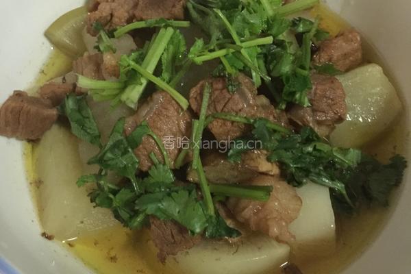 青萝卜炖牛腩