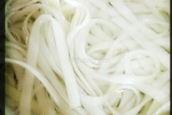 酸菜粉的做法图解3