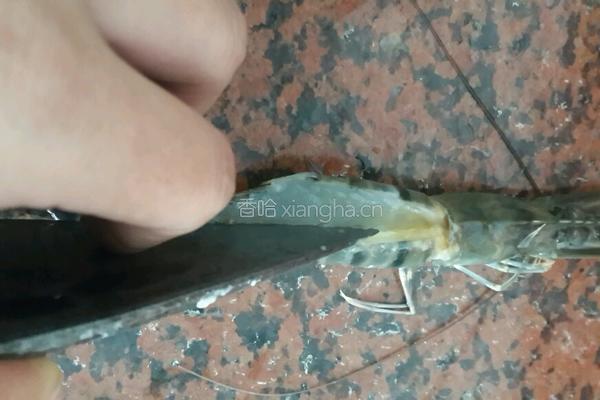 清蒸大虾的做法图解4