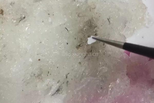 原味燕窝的做法图解3