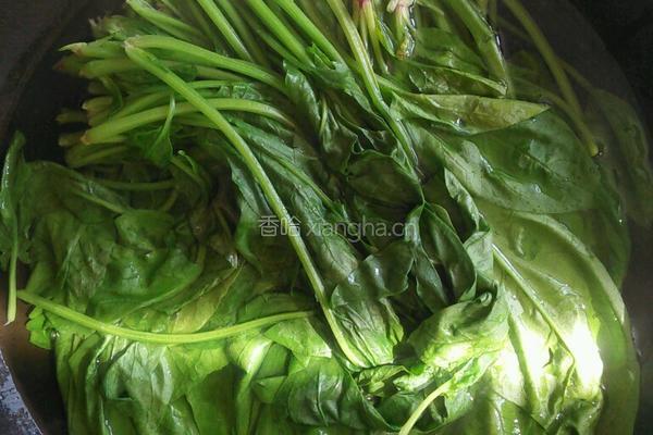 凉拌菠菜的做法图解2