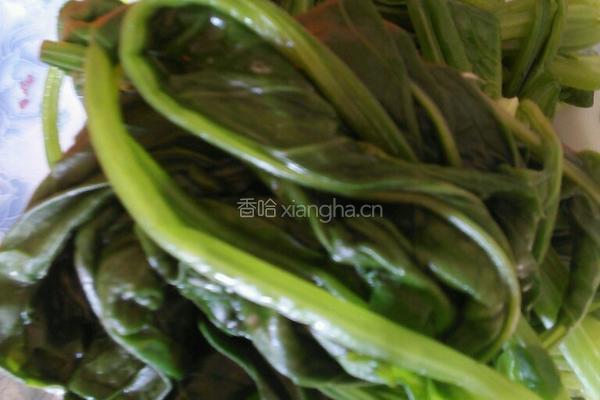 凉拌菠菜的做法图解3