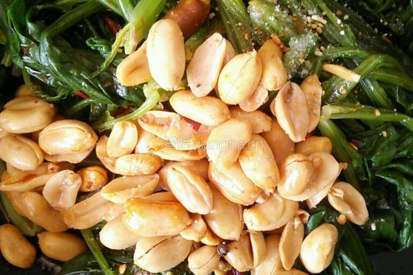 凉拌菠菜的做法图解5
