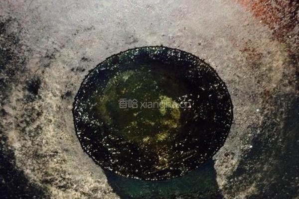 荠菜馄饨的做法图解1