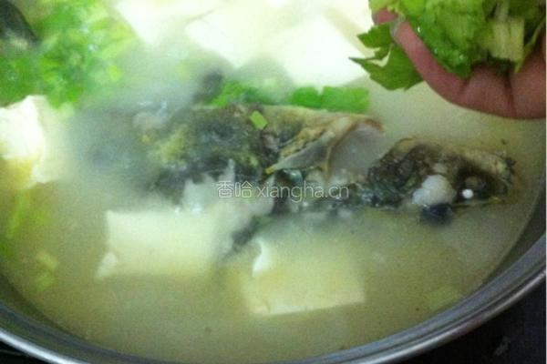 黄骨鱼豆腐汤的做法图解6