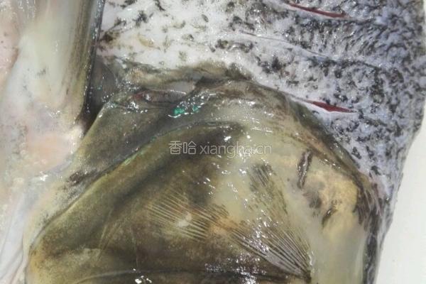 砂锅天麻炖胖🐠头的做法图解1