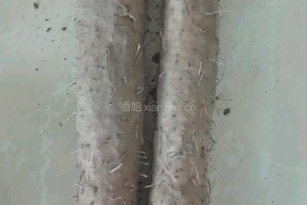 山药鸡汤的做法图解1