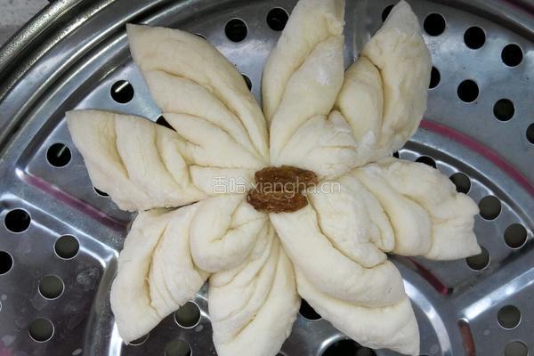 菊花馒头的做法图解5