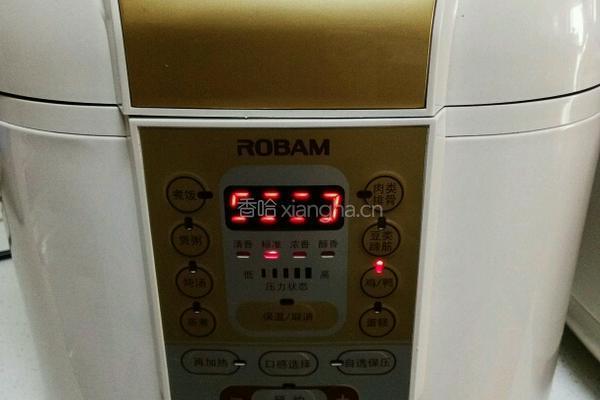 蜜汁酱香鸡的做法图解5