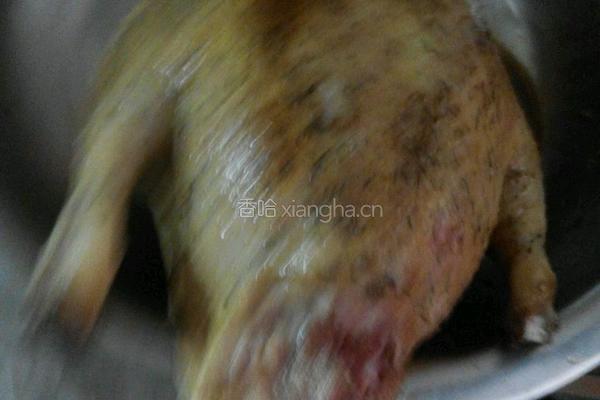 粤菜：酱香捺鹅的做法图解4