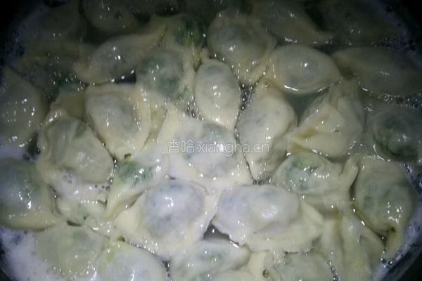 荠菜饺子的做法图解8