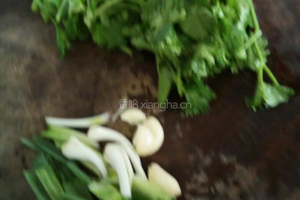 煮鱼的做法图解3