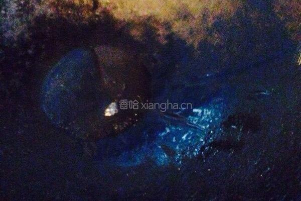 油面筋炒青菜的做法图解2