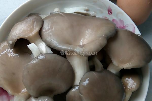油炸蘑菇的做法图解1