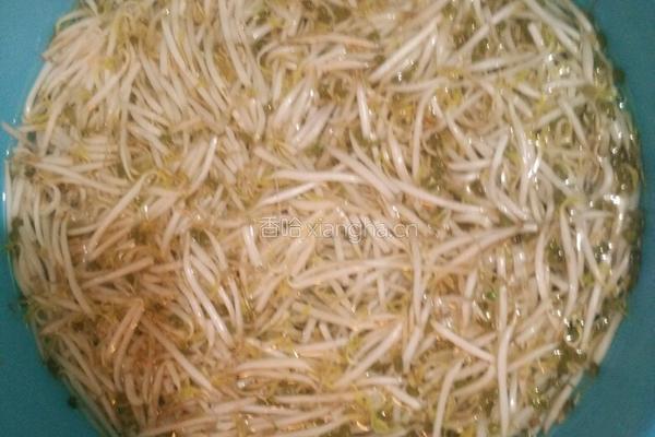 豆芽黄瓜炒粉丝的做法图解1
