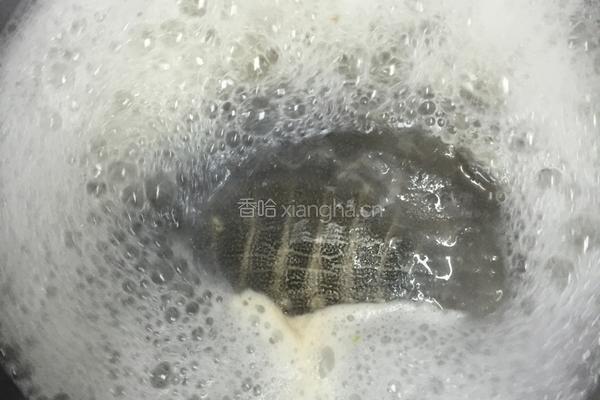 野生甲鱼炖鞕花