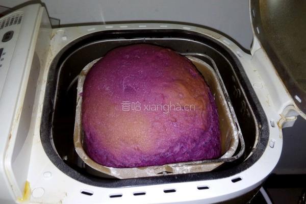 紫薯面包的做法图解8