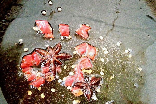 绿豆芽拌豆皮的做法图解4