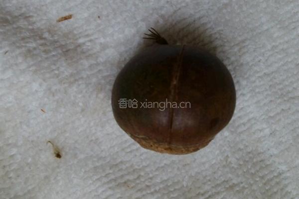烤箱版烤栗子的做法图解4