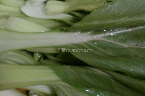 肉丝炒粉的做法图解4