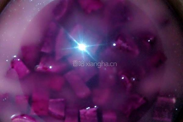 紫薯粥的做法图解4