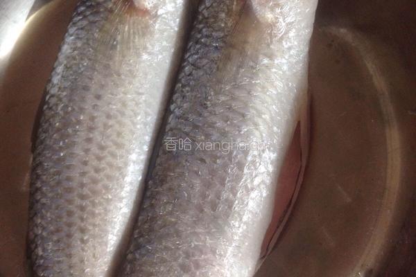 秘制梭子鱼蒸鱼泡的做法图解9