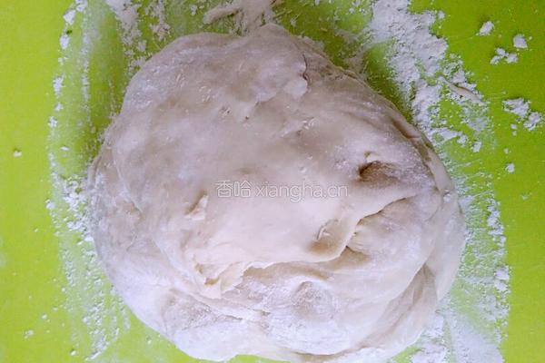 白菜剩扣肉包子的做法图解9