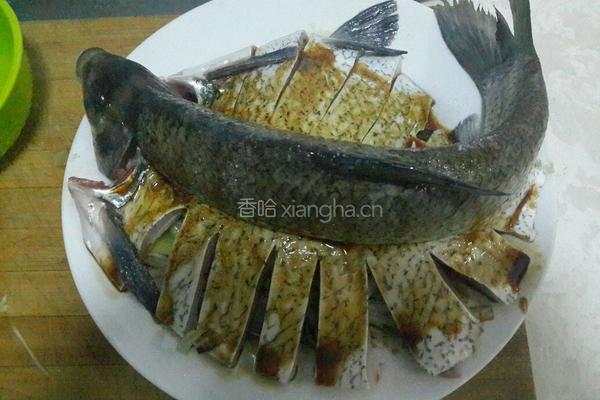 清蒸武昌鱼的做法图解4