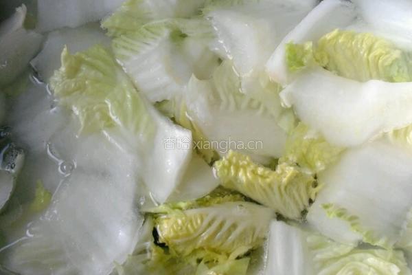 醋溜白菜片的做法图解4