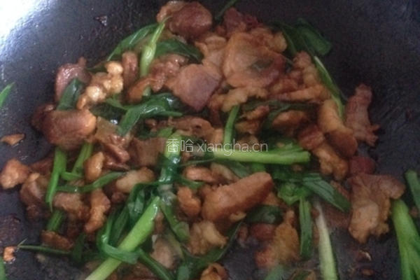 爆炒肉片的做法图解6