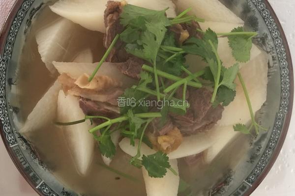 牛腩炖萝卜的做法图解5