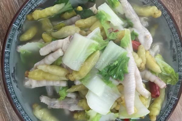 泡椒凤爪炖白菜的做法图解4