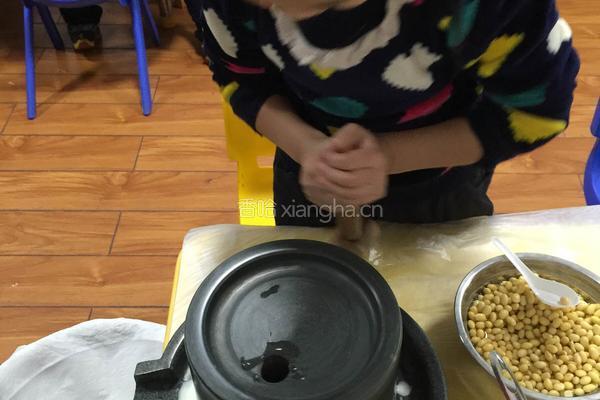 自制老豆腐的做法图解1