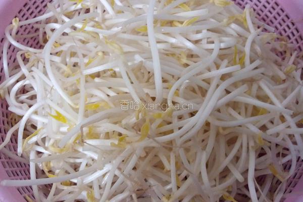 清炒豆芽的做法图解1