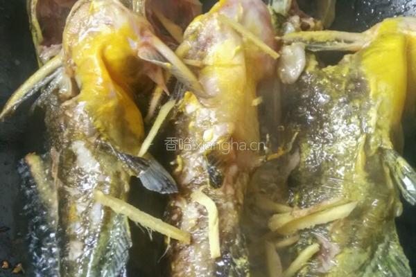 汪丫鱼枸杞豆腐汤的做法图解3