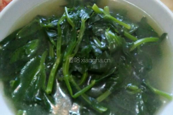 碗豆尖鸡汤