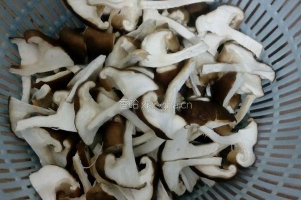 蘑菇炒肉的做法图解3