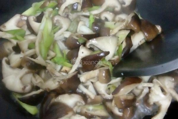 蘑菇炒肉的做法图解7