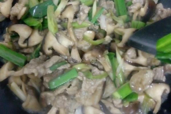 蘑菇炒肉的做法图解9