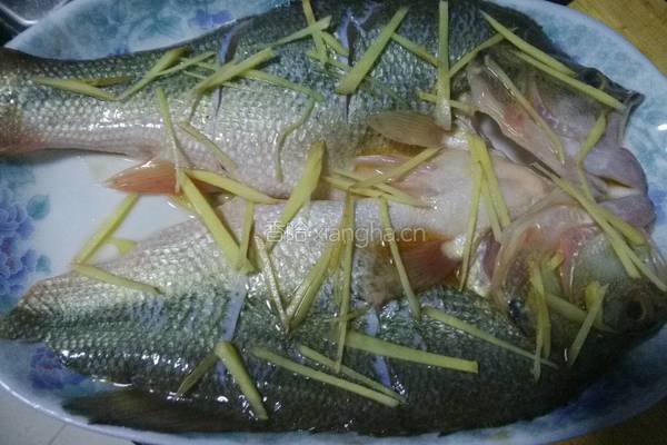 剁椒鲈鱼的做法图解5