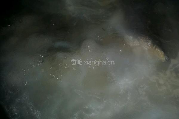鱼尾节瓜汤的做法图解3