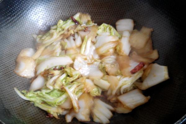 麻辣白菜的做法图解5