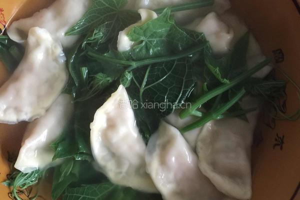 韭菜鸡蛋饺子的做法图解11