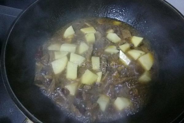 土豆烧牛肉的做法图解9