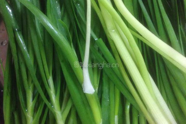 韭菜馄饨的做法图解1