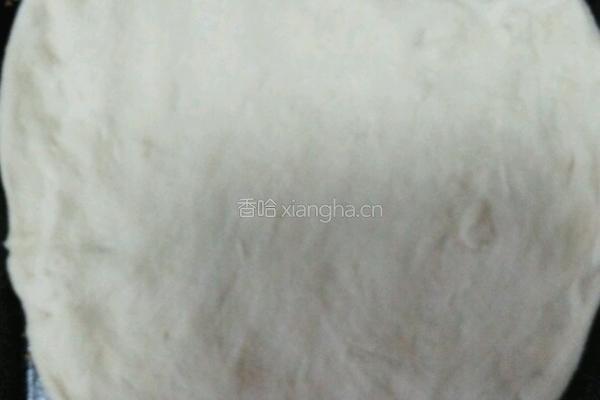 美味烤馕饼的做法图解4