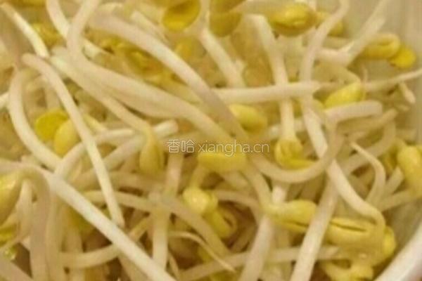 凉拌菠菜豆芽的做法图解2