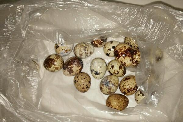 糖醋虎皮鹌鹑蛋的做法图解1