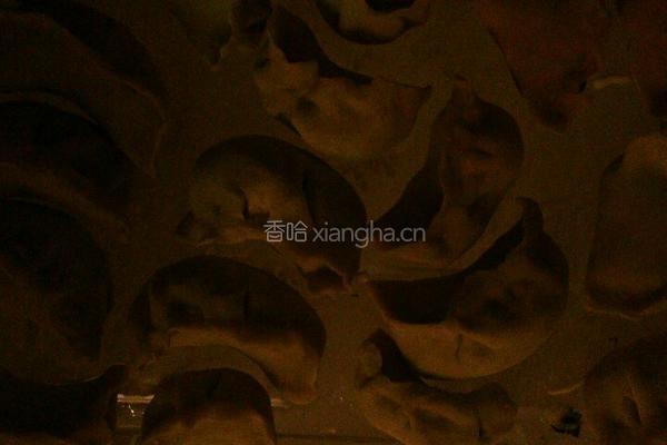 白菜香菇虾皮饺的做法图解7