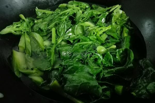 青炒芥兰的做法图解4